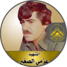 الشهيد " محمود راضى "