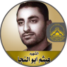 الشهيد القائد الميدانى " هيثم أبوالنجا "