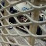 اقتحام قسم " 6 " في سجن النقب