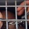 خبراء دولييون: الأسرى الفلسطينيون محاربون قانونيون وقضيتهم تخضع للقانون الدولى