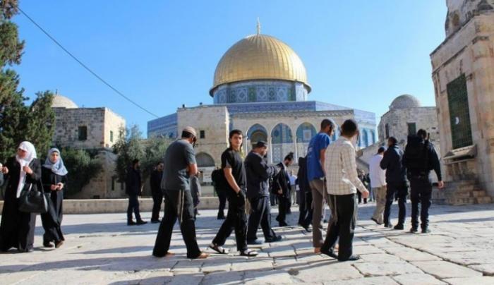 قطعان المستوطنون يقتحمون باحات المسجد الأقصى المبارك تحت حراسة مشددة