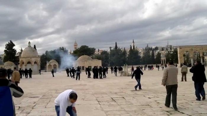 قطعان المستوطنون يتقحمون الأقصى
