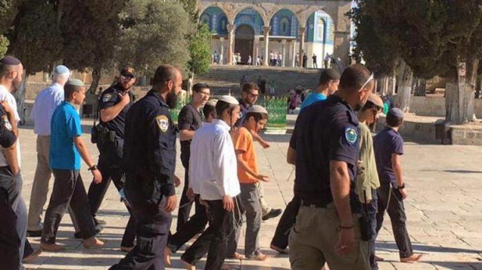 161 مستوطنًا يقتحمون الأقصى بحراسة مشددة