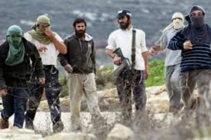 مستوطنون يعتدون على 3 مواطنين في بلدة عوريف