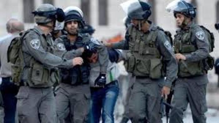 قوات الاحتلال تعتقل 12 شابا في الضفة الغربية