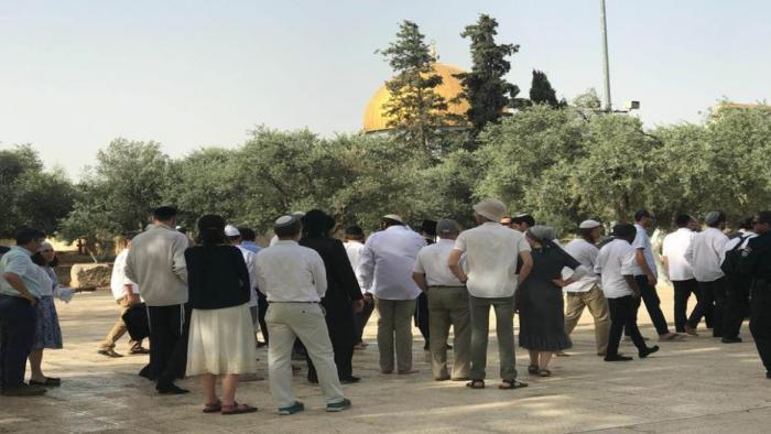 94 مستوطناً يقتحمون المسجد الأقصى وسط حراسة مشددة