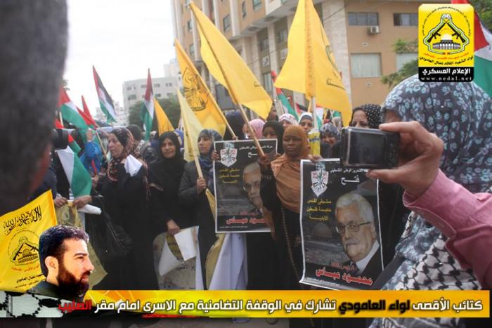 12179155_10153567567231815_200786439_n