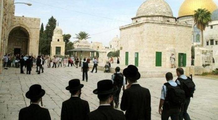 عشرات المستوطنين يجددون اقتحامهم لباحات المسجدد الأقصى المبارك
