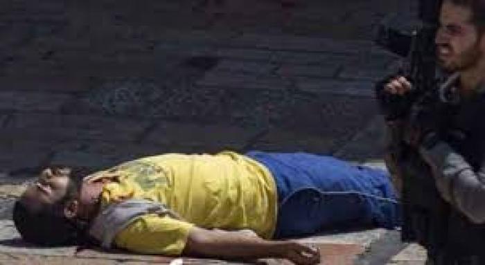  الشهيد سعيد العمرو لم يفهم طلب مجندة صهيونية فقتلته