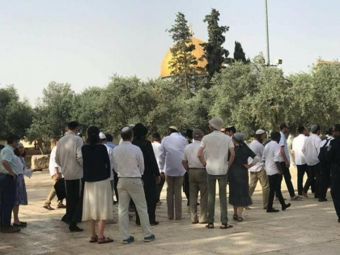 تجدد الإقتحامات الإستفزازية للمستوطنين داخل المسجد الأقصى 