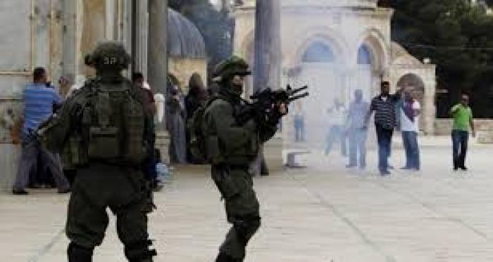 متطرفون يواصلون اقتحام باحات المسجد الأقصى