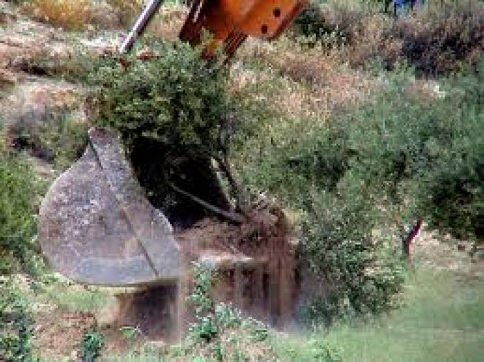مستوطنون صهاينة يجرفون أراضي غرب بيت لحم لصالح شارع استيطاني