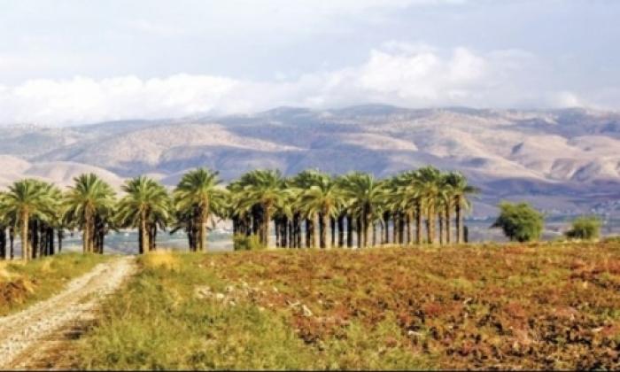 أكثر من 2000 دونم في أريحا يتم مصادرة من قبل الصهاينة 