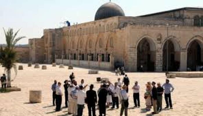 تنزيل (10)