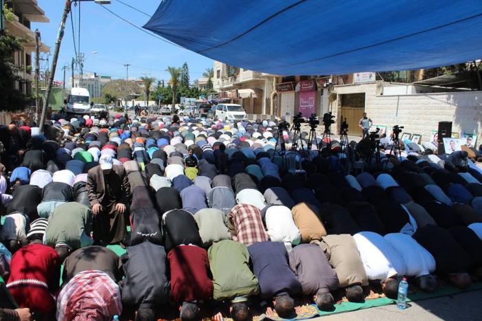 12963352_1554749294824039_929750789291595557_n