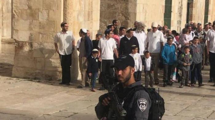 250 متطرفاً يهودياً يقتحمون ساحات المسجد الأقصى بحراسة مشددة