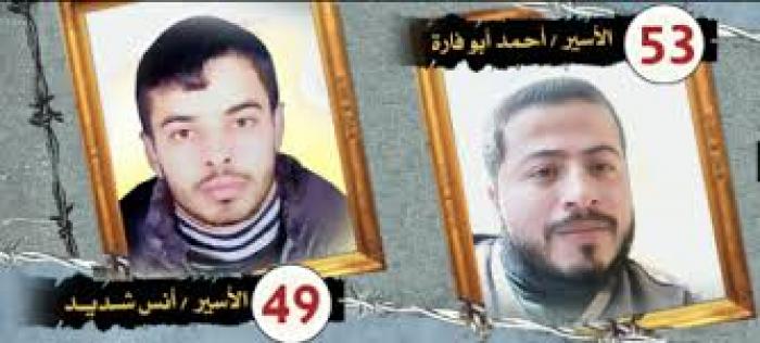 تنزيل (4)