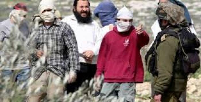  ارتفاع مطرد باعتداءات المستوطنين ضد الفلسطينيين بالضفة