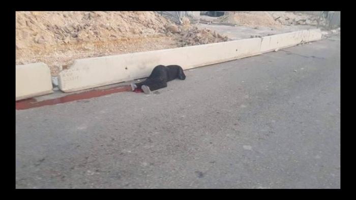  التعرف على هوية شهيدة قلنديا وهي من سكان رمون