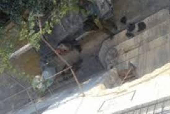 تنزيل (1)