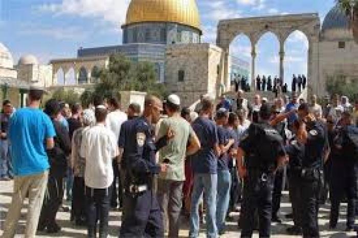 95 مستوطنًا يقتحمون الأقصى وسط حماية مشددة