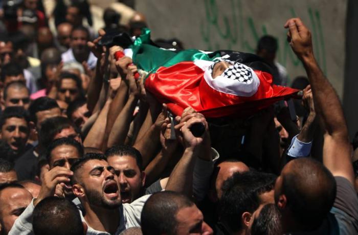 تقرير:  3 شهداء فلسطينيين و528 مصابًا بأسبوعين