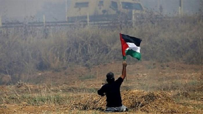الاحتلال يمنح الحصانة الكاملة لجنوده عند قتل الفلسطينيين السلميين 