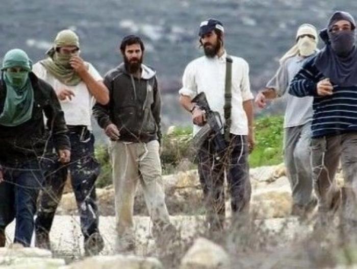 قطعان المستوطنون يحاولون إقتحام بلدة بيت فوريك شمال الضفة