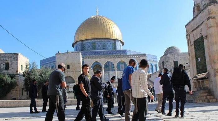 مستوطنون يُدنسون باحات الأقصى تحت حراسة مشددة