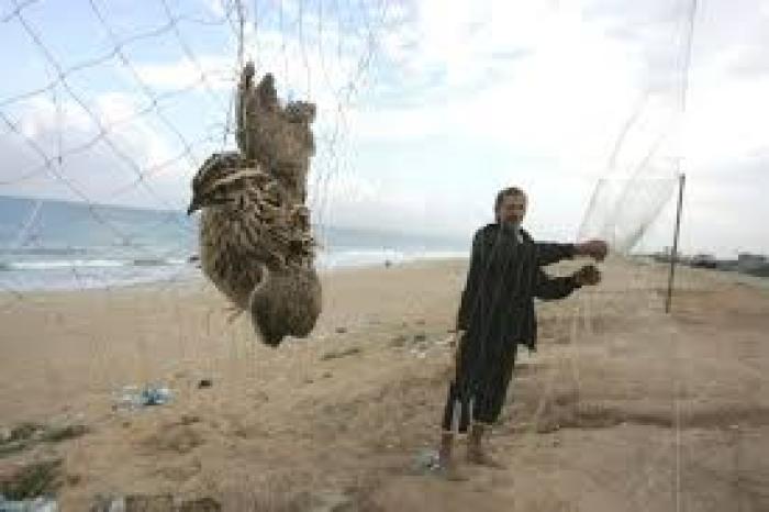 قوات الإحتلال تطلق النار تجاه المزارعين وصيادي الطيور 