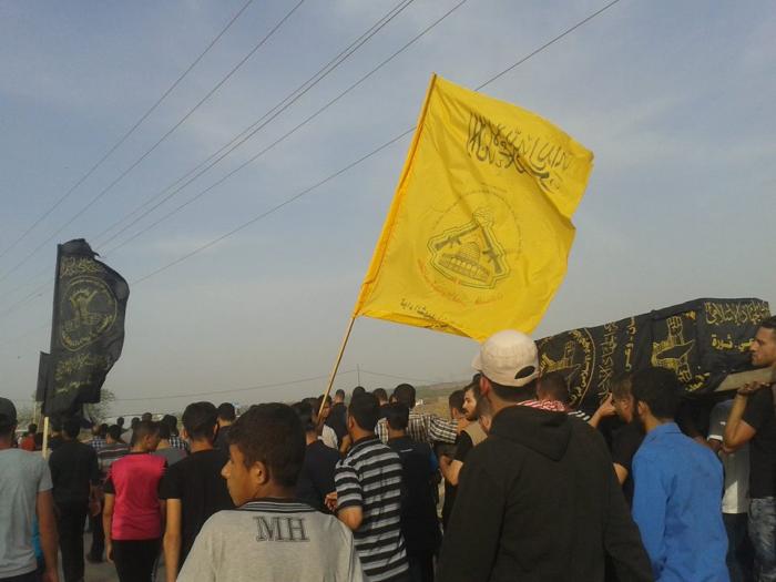 13101225_538821679634681_2007094510_n