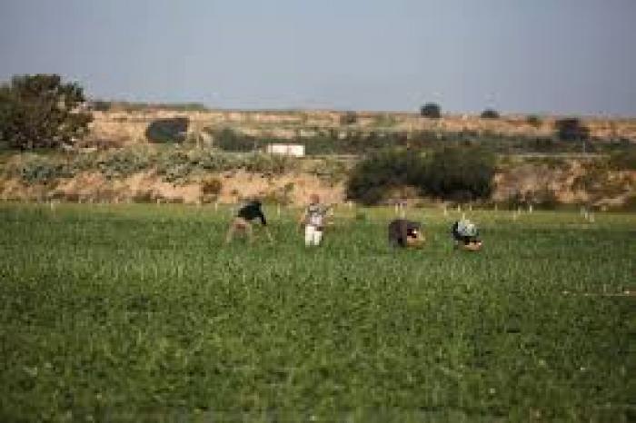 تنزيل