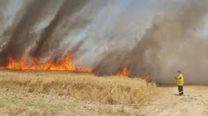 8 حرائق بمستوطنات غلاف غزة بفعل طائرات وبالونات حارقة