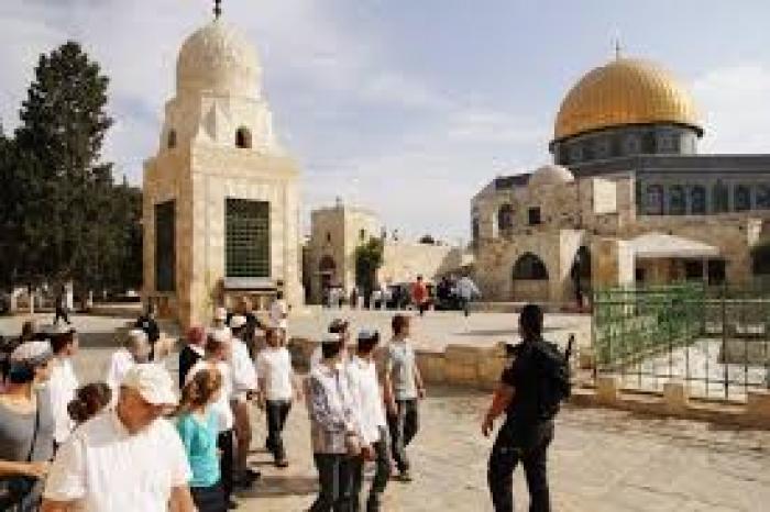 67 مستوطنًا يُدنسون باحات الأقصى بحراسة مشددة