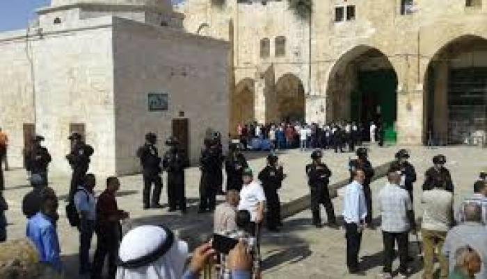 مستوطنون صهاينة يقتحمون باحات الأقصى بحماية مشددة