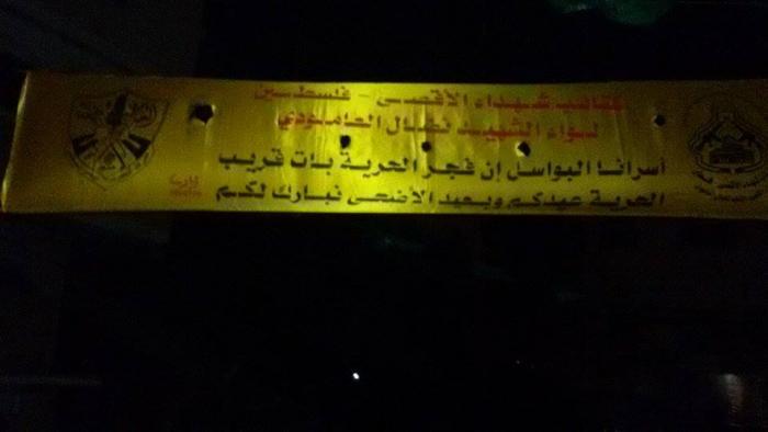 12030966_1654017638149319_843451876_n