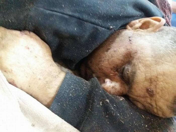 شهيد بانفجار عرضي في بيت لاهيا شمال قطاع غزة