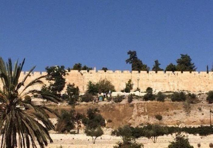 العدو يستولي على أرضٍ وقفية قرب مقبرة باب الرحمة