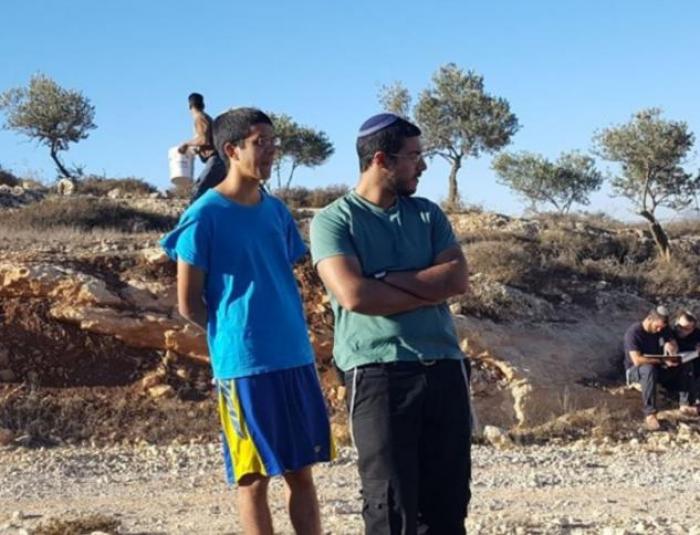 مستوطن يعتدي على مزارعين خلال قطفهم الزيتون شرق طولكرم