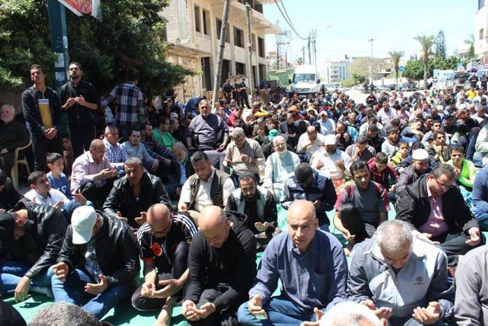 13043202_1554735474825421_6528513861706934676_n