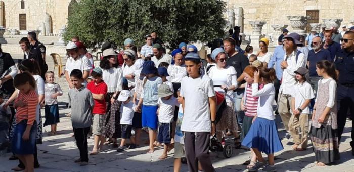 345 مستوطنًا يقتحمون الأقصى بحراسة مشددة