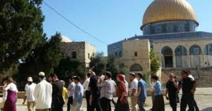 53 مستوطنًا يقتحمون المسجد الأقصى