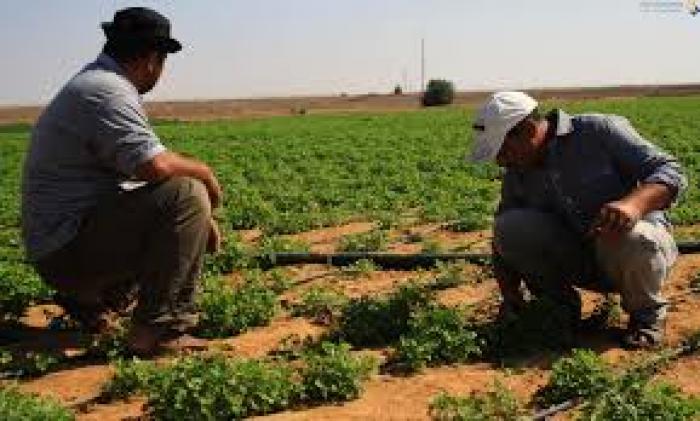 قوات الإحتلال تطلق النار تجاه المزارعين شرق خانيونس