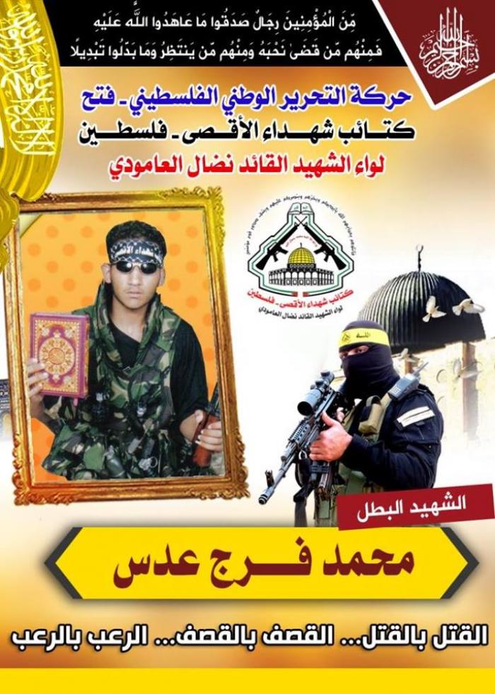 عدس1