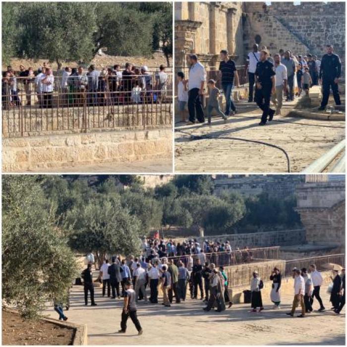 70 مستوطنًا يقتحمون المسجد الأقصى