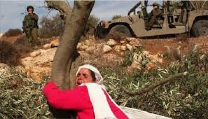 إضراب عام ومسيرات في ذكرى يوم الأرض