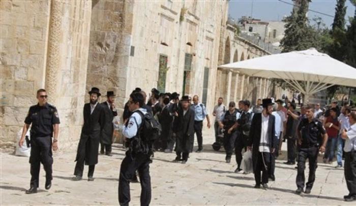 إقتحامات لأكثر من 115 مستوطن تحت حراسة مشددة 