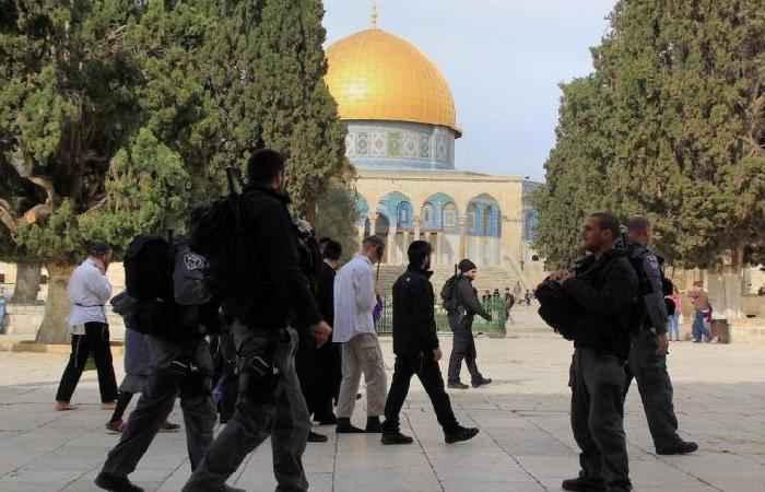  وزارة الأوقاف والشؤون الدينية: اقتحامات الأقصى ستدفع المنطقة لحرب دينية