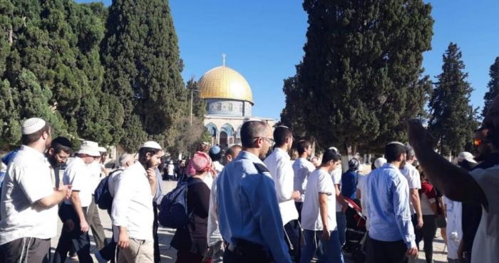 مئات المستوطنين المتطرفين يقتحمون الأقصى احتفالًا بما يسمى عيد "الحانوكاة" الصهيونى