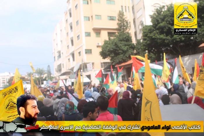 12178184_10153567566931815_122411081_n